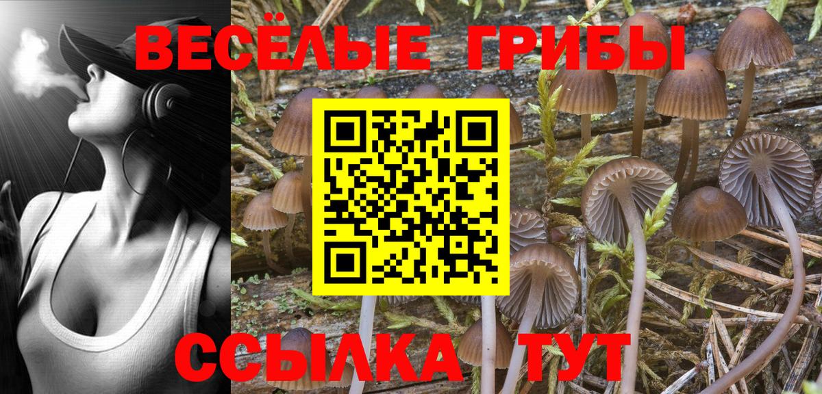 Галлюциногенные грибы MAGIC MUSHROOMS  Вход с VPN  Воронеж 