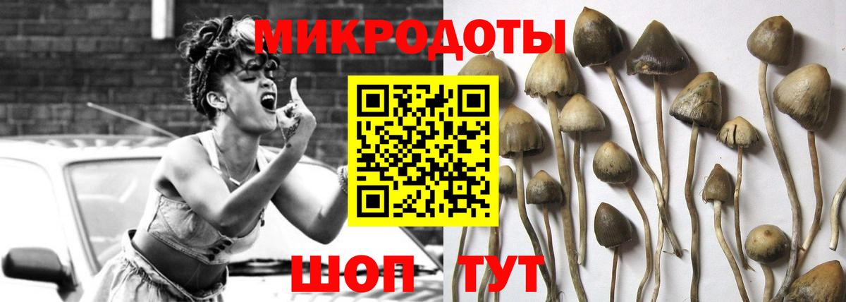 Галлюциногенные грибы мухоморы Воронеж
